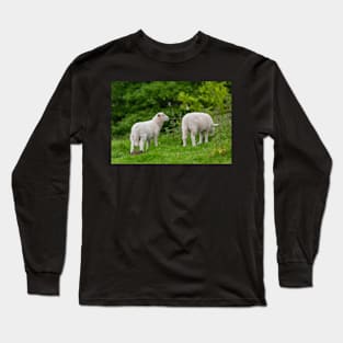 Sheep Long Sleeve T-Shirt